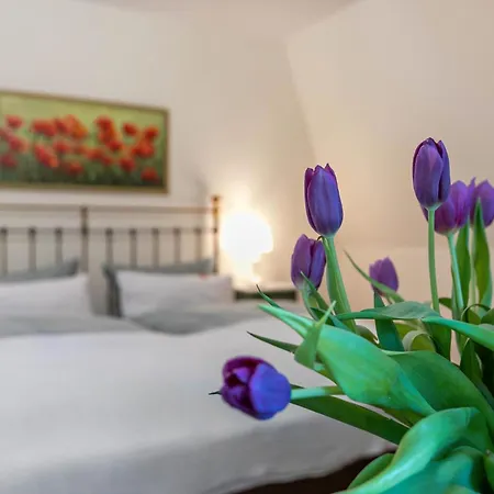 Apartment Deichhaus *